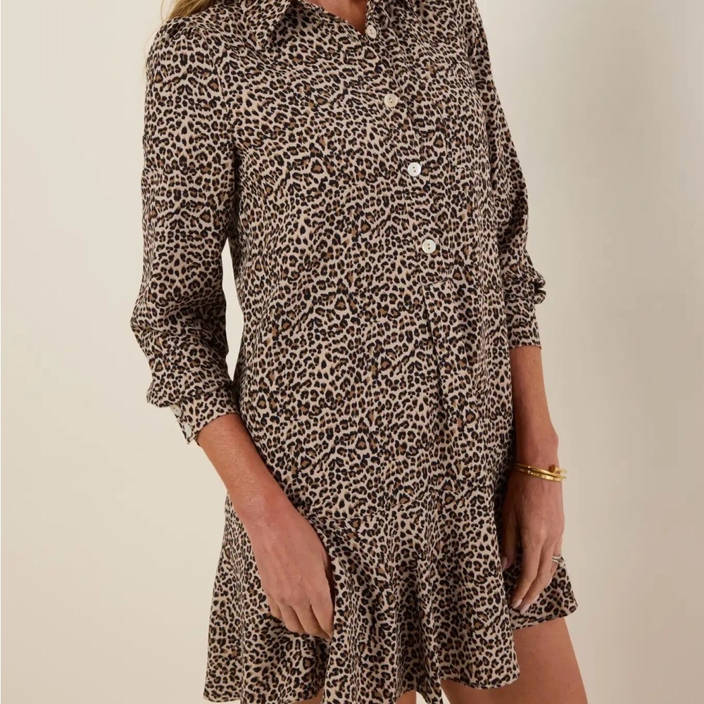 Leopard Print Mini Dress